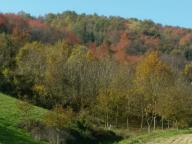 NORDIC WALKING CON PRANZO FINALE