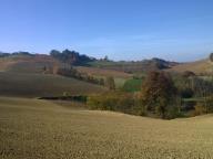 CAMMINATA IN TECNICA NORDIC WALKING CON PAOLA VOLA