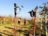 NORDIC WALKING TRA INCISA E VAGLIO