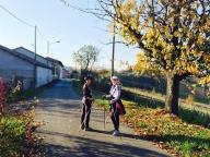 NORDIC WALKING TRA INCISA E VAGLIO