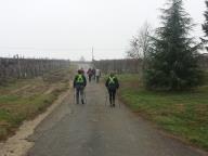 NORDIC WALKING SULLE COLLINE DI AGLIANO TERME