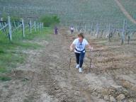 NORDIC WALKING A NIZZA