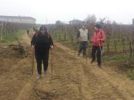 NORDIC WALKING SULLE COLLINE DI AGLIANO TERME