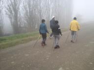 CAMMINATA IN TECNICA NORDIC WALKING CON SABRINA