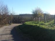 NORDIC WALKING TRA NIZZA E CASALOTTO CON PAOLA R.