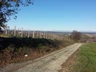 NORDIC WALKING TRA NIZZA E CASALOTTO CON PAOLA R.