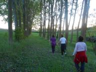 NORDIC WALKING A NIZZA