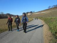 CAMMINATE IN TECNICA NORDIC WALKING