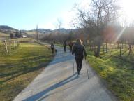 CAMMINATE IN TECNICA NORDIC WALKING