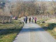 CAMMINATE IN TECNICA NORDIC WALKING