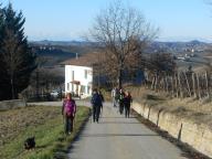 CAMMINATE IN TECNICA NORDIC WALKING