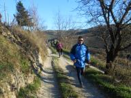 CAMMINATE IN TECNICA NORDIC WALKING