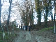 CAMMINATE IN TECNICA NORDIC WALKING