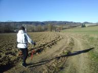 CAMMINATE IN TECNICA NORDIC WALKING