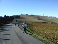 CAMMINATE IN TECNICA NORDIC WALKING