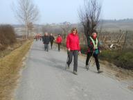 CAMMINATA IN TECNICA NORDIC WALKING