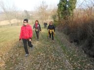 CAMMINATA IN TECNICA NORDIC WALKING