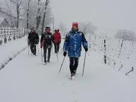 CAMMINATA IN TECNICA NORDIC WALKING SOTTO LA NEVE