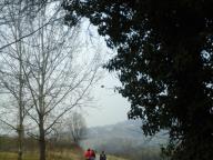 CAMMINATE IN TECNICA NORDIC WALKING