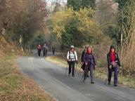 CAMMINATE IN TECNICA NORDIC WALKING