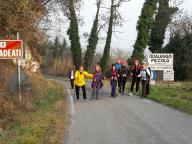 CAMMINATE IN TECNICA NORDIC WALKING