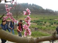 PASQUETTA A LA COURT DI CASTELNUOVO CALCEA