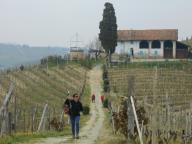 PASQUETTA A LA COURT DI CASTELNUOVO CALCEA