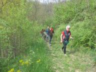 CAMMINATA IN TECNICA NORDIC WALKING CON PAOLA R.