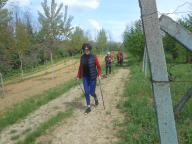 CAMMINATA IN TECNICA NORDIC WALKING CON PAOLA R.