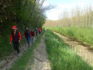 CAMMINATA IN TECNICA NORDIC WALKING CON PAOLA R.