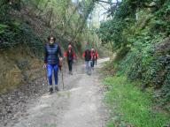 CAMMINATA IN TECNICA NORDIC WALKING CON PAOLA R.