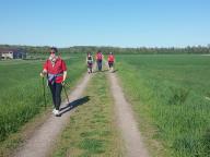 CAMMINATE IN TECNICA NORDIC WALKING