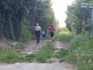 CAMMINATE IN TECNICA NORDIC WALKING