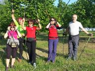 CAMMINATE IN TECNICA NORDIC WALKING