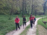 CAMMINATE IN TECNICA NORDIC WALKING