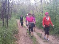 CAMMINATE IN TECNICA NORDIC WALKING