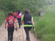 CAMMINATE IN TECNICA NORDIC WALKING