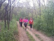 CAMMINATE IN TECNICA NORDIC WALKING