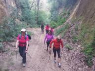 CAMMINATE IN TECNICA NORDIC WALKING