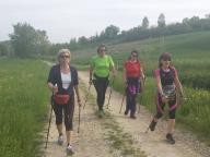 CAMMINATE IN TECNICA NORDIC WALKING