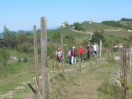 CAMMINATA IN TECNICA NORDIC WALKING CON PAOLA R.