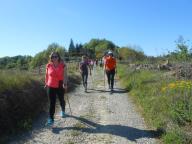 CAMMINATA IN TECNICA NORDIC WALKING CON PAOLA R.