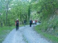 CAMMINATA IN TECNICA NORDIC WALKING CON PAOLA R.