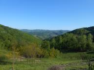 CAMMINATA IN TECNICA NORDIC WALKING CON PAOLA R.