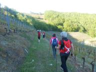 CAMMINATA IN TECNICA NORDIC WALKING CON PAOLA R.