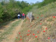 CAMMINATA IN NORDIC WALKING CON PAOLA R.