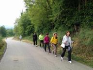 CAMMINATE IN TECNICA NORDIC WALKING