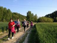 CAMMINATE IN TECNICA NORDIC WALKING