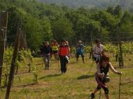 CAMMINARE INSIEME NEL PARCO