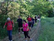 CAMMINATE IN NORDIC WALKING